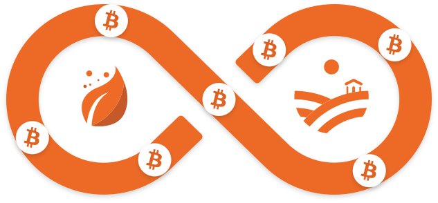 Infinity Symbol with Bitcoin Symbols in it